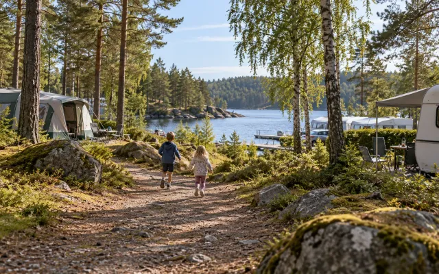Spelen vlakbij – Comfortplaats in het dennenbos